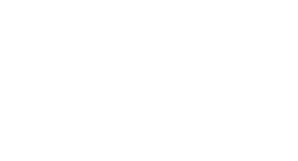 Hotel Henry