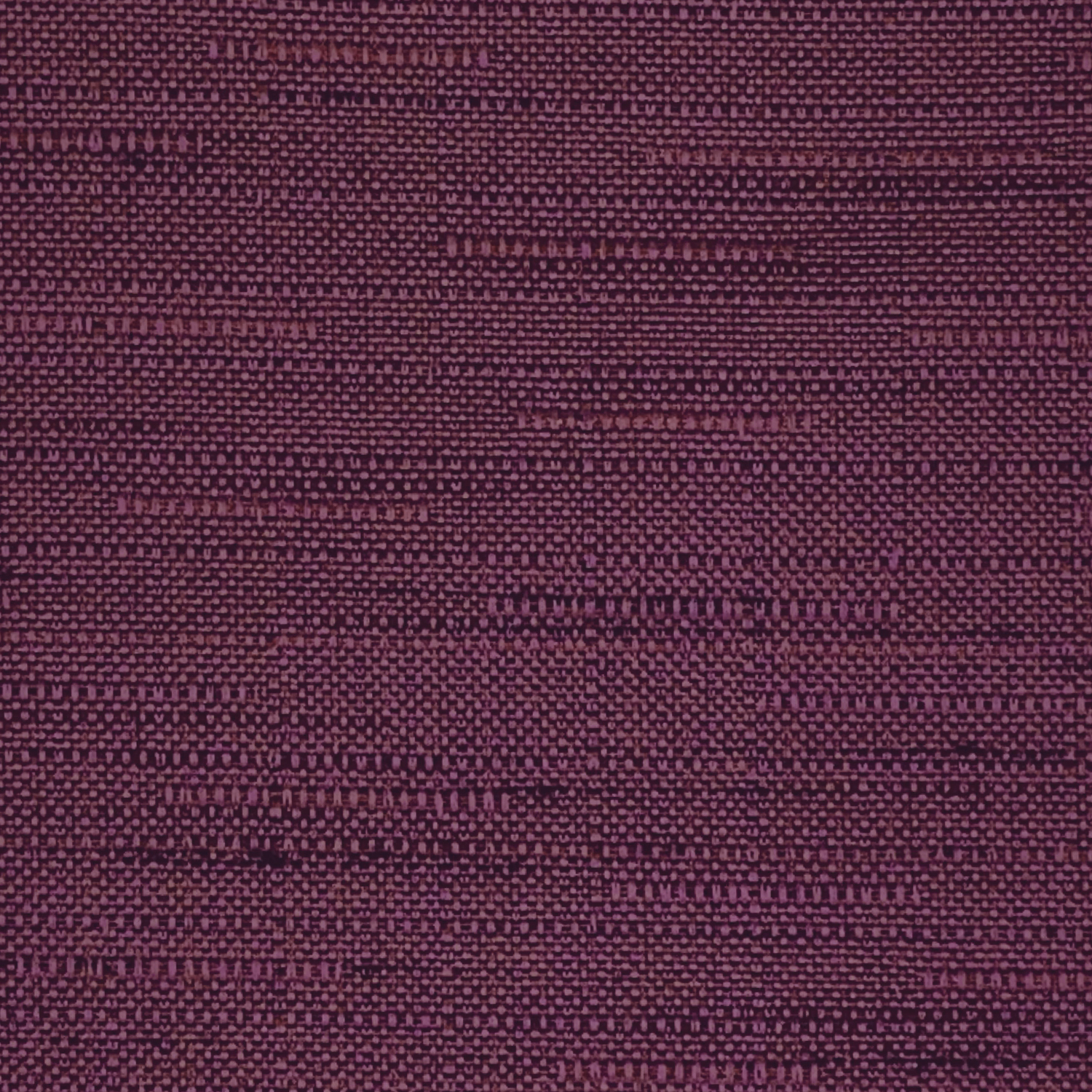 Derby Cassis