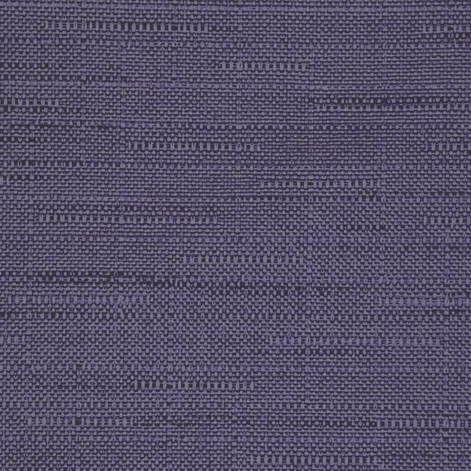 Derby Violet