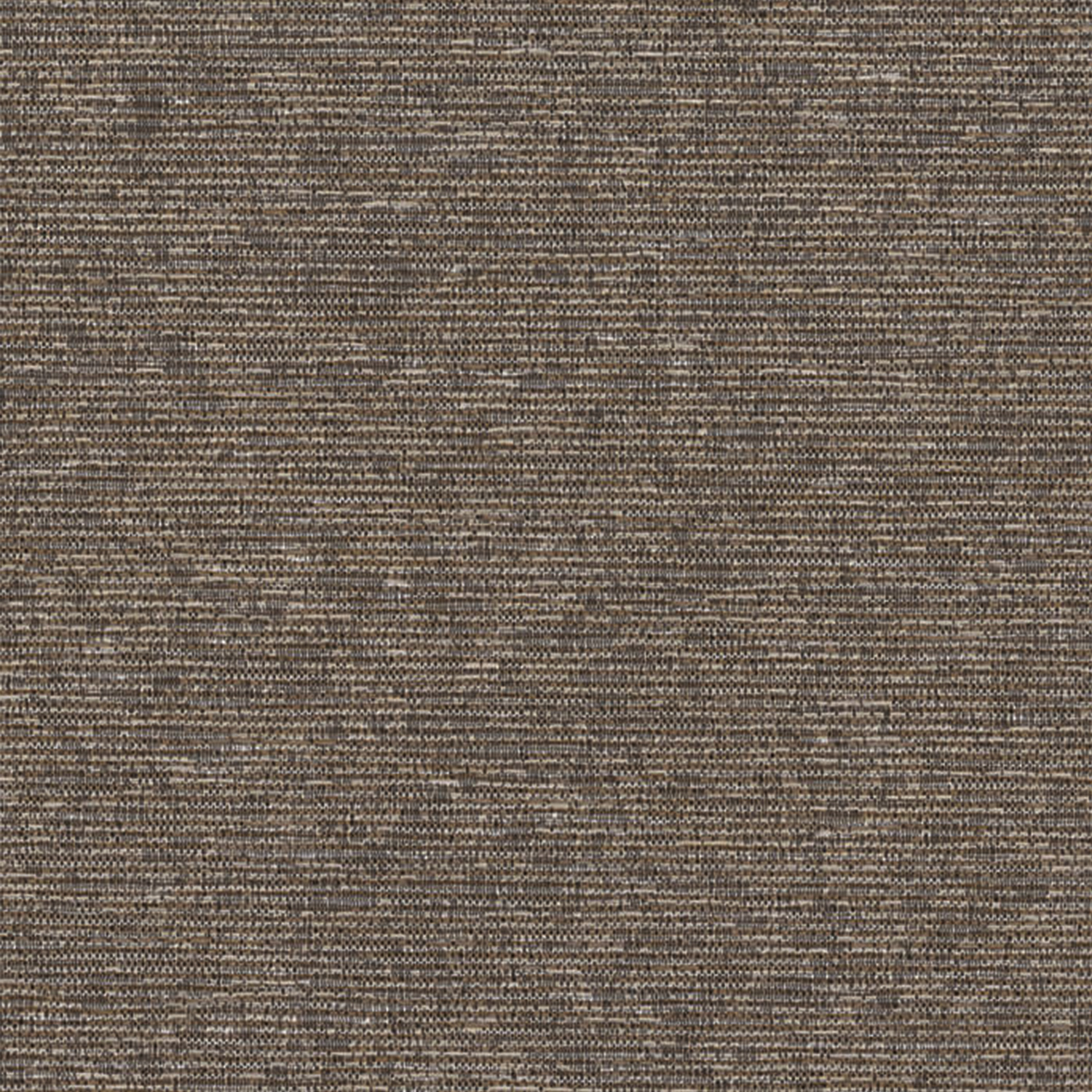 RS Broome LF Pyrite