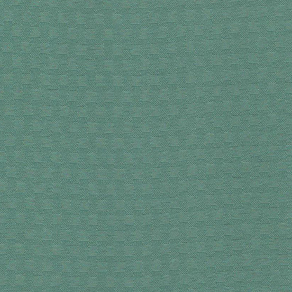Parallel Forest